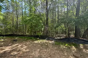 2317 Alex Cockman Rd, Pittsboro, NC 27312 - Photo 11