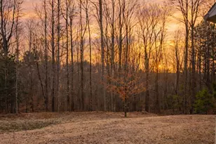 2024 Delphi Wy, Wake Forest, NC 27587 - Photo 5