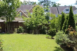 241 Vinewood Pl, Holly Springs, NC 27540 - Photo 39