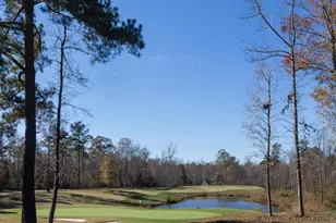 64 Mist Wood Ct, Pittsboro, NC 27312 - Photo 35