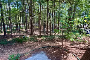 7925 Brown Bark Pl, Raleigh, NC 27615 - Photo 15