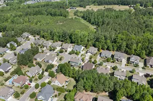 3048 Lawson Walk Way, Rolesville, NC 27571 - Photo 41