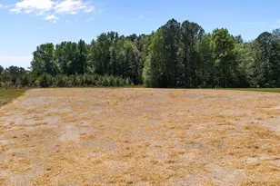 173 Little Lady Trl, Zebulon, NC 27597 - Photo 7