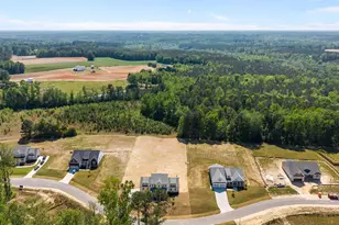 173 Little Lady Trl, Zebulon, NC 27597 - Photo 11