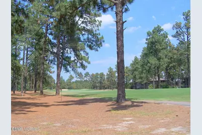 220 Foxkroft Drive, Jackson Springs, NC 27281 - Photo 27