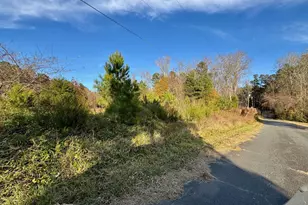 410 High St, Norlina, NC 27563 - Photo 59