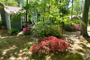 5809 Sentinel Dr, Raleigh, NC 27609 - Photo 9