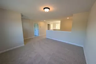 913 Diana Victoria Ct, Wendell, NC 27591 - Photo 13