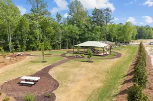913 Diana Victoria Ct, Wendell, NC 27591 - Photo 47
