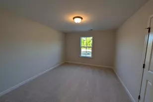 905 Diana Victoria Ct, Wendell, NC 27591 - Photo 21