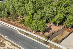 817 Diana Victoria Ct, Wendell, NC 27591 - Photo 53