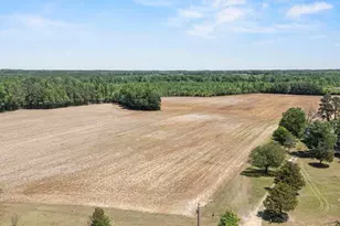 679 Mintz Rd, Roseboro, NC 28382 - Photo 39