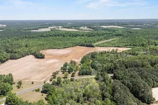 679 Mintz Rd, Roseboro, NC 28382 - Photo 37