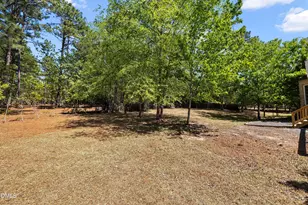 42 Racquet Ct, Sanford, NC 27332 - Photo 41