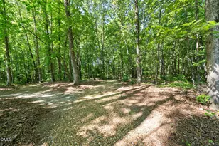 97 Cotton Mill Dr, Zebulon, NC 27597 - Photo 47