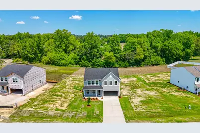 263 Bunker Hill Place Street #Lot 46, Angier, NC 27501 - Photo 7