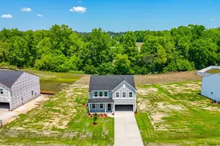 263 Bunker Hill Pl St, Angier, NC 27501 - Photo 7