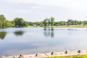 12 Serpens Dr, Angier, NC 27501 - Photo 33