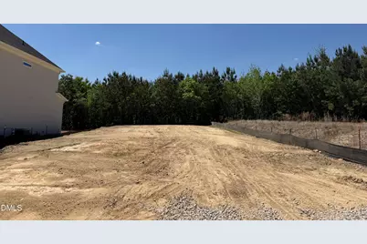 917 Diana Victoria Court, Wendell, NC 27591 - Photo 3