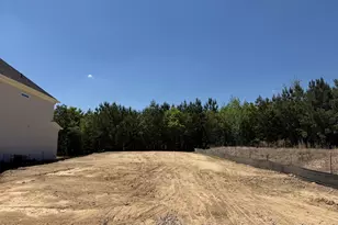 917 Diana Victoria Ct, Wendell, NC 27591 - Photo 3
