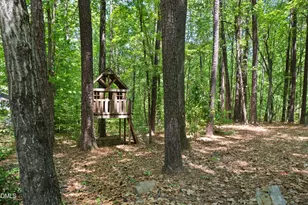 1216 Teaberry Ct, Cary, NC 27519 - Photo 47