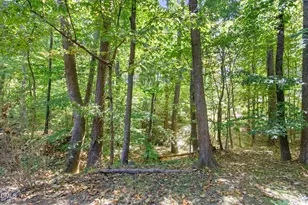 3 Peaceful Pl, Chapel Hill, NC 27517 - Photo 27