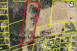 1108 W King St, Hillsborough, NC 27278 - Photo 39