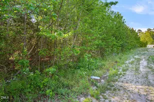 3976 Vass-Carthage Rd, Carthage, NC 28327 - Photo 11