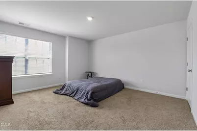 115 Rivercamp Street, Wilsons Mills, NC 27527 - Photo 23