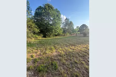 921 Sweet Raspberry Lane, Lillington, NC 27546 - Photo 31