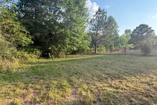 921 Sweet Raspberry Ln, Lillington, NC 27546 - Photo 31