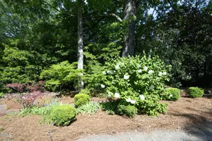 520 E Franklin St, Chapel Hill, NC 27514 - Photo 5