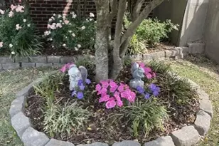 7850 Spungold St, Raleigh, NC 27617 - Photo 5