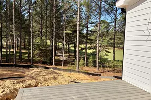 33 Blackhorn Ct, Pittsboro, NC 27312 - Photo 33