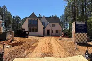 33 Blackhorn Ct, Pittsboro, NC 27312 - Photo 1