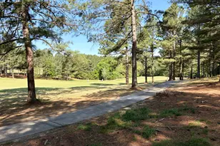 33 Blackhorn Ct, Pittsboro, NC 27312 - Photo 13