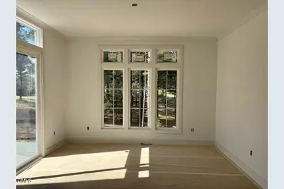 33 Blackhorn Court, Pittsboro, NC 27312 - Photo 33