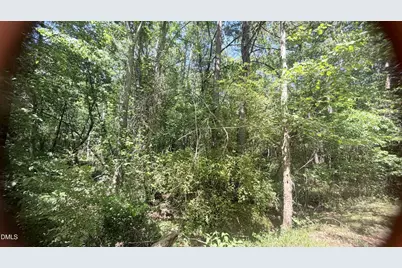 1683 Buckner Clark Road, Pittsboro, NC 27312 - Photo 3