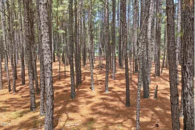 0 Flowers Road, Jackson Springs, NC 27281 - Photo 19