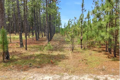 0 Flowers Road, Jackson Springs, NC 27281 - Photo 23