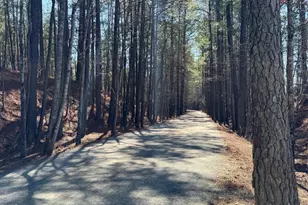 10019 Secluded Gdn Dr, Apex, NC 27523 - Photo 33