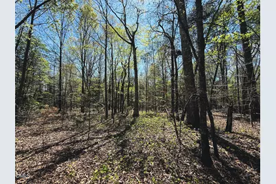 0 Mocksville Highway, Statesville, NC 28625 - Photo 39