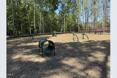 5407 Running Fox Lane, Durham, NC 27703 - Photo 23