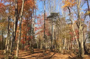 4583 Lambeth Mill Rd, Bennett, NC 27208 - Photo 33