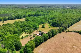 4583 Lambeth Mill Rd, Bennett, NC 27208 - Photo 31