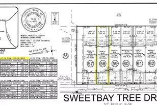 331 Sweetbay Tree Dr, Wendell, NC 27591 - Photo 25