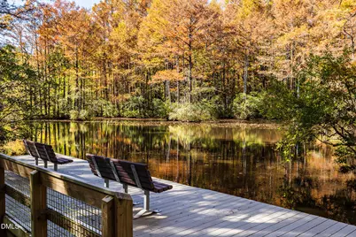 331 Sweetbay Tree Drive, Wendell, NC 27591 - Photo 35