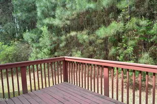 1005 Double Spring Ct, Apex, NC 27502 - Photo 31