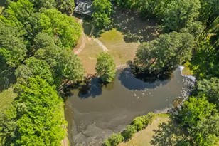 297 Wells Ln, Angier, NC 27501 - Photo 43
