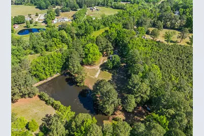 297 Wells Lane, Angier, NC 27501 - Photo 43